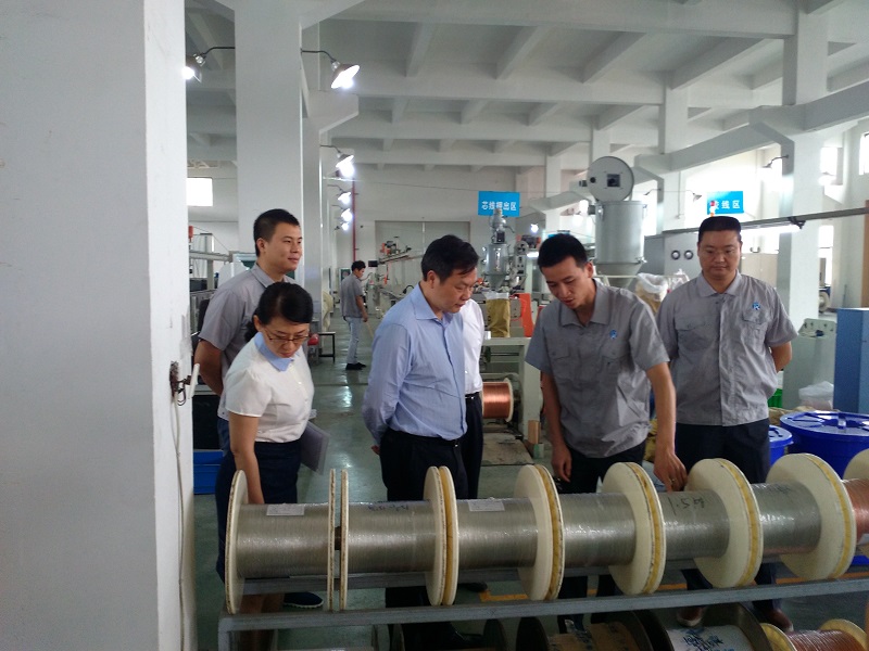 圖為公司領(lǐng)導(dǎo)正在給市領(lǐng)導(dǎo)講解機器情況